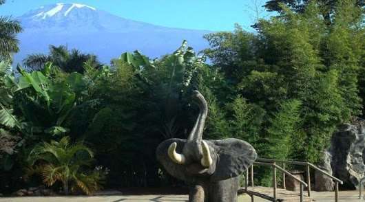 Kilemakyaro Mountain Lodge 모시 외부 사진